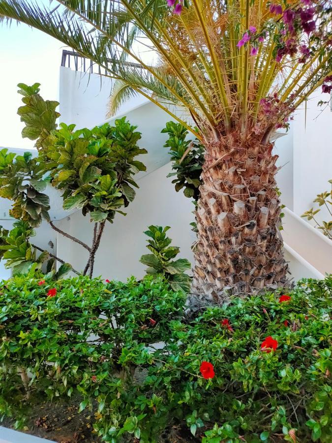 Апартаменти Flor De Cactus Коста-Тегісе Екстер'єр фото